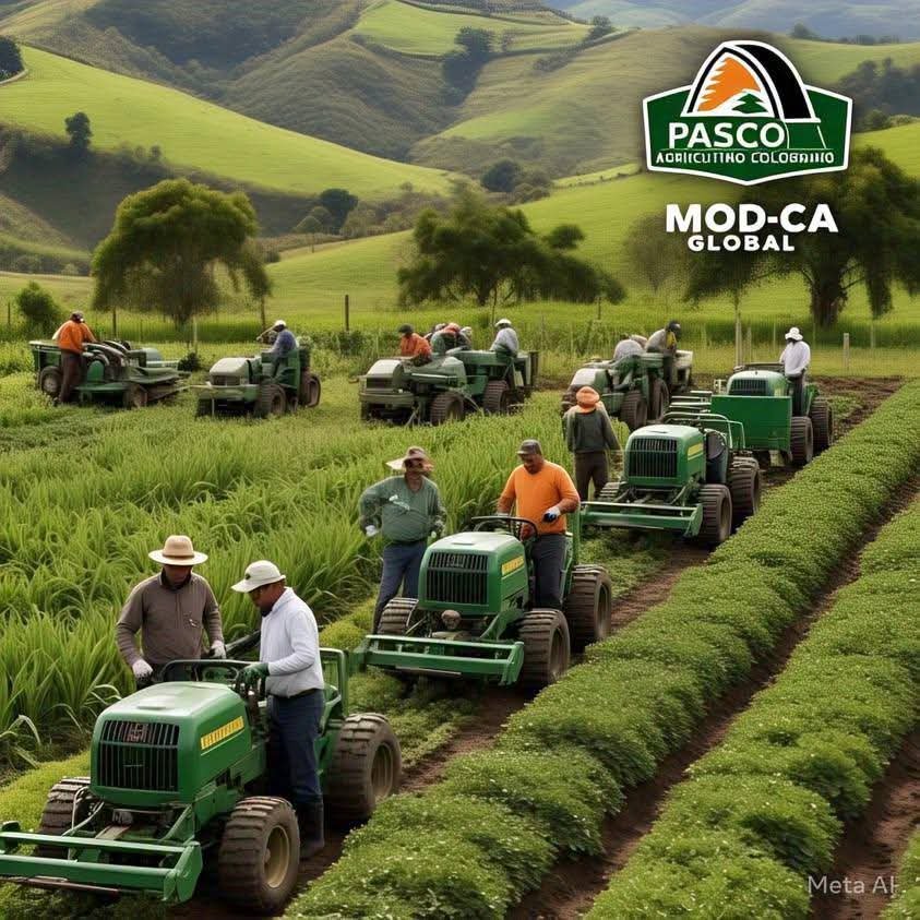 Locomotora Campesina